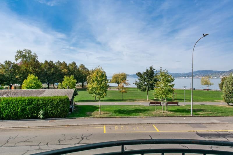 Belle vue sur le lac et le parc de l'Ouchettaz.