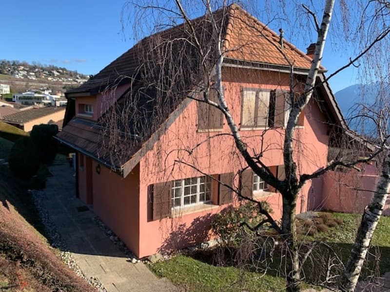 Charmannte Villa mit 6,5 Zimmern und Panoramablick auf den See und die Berge! (2)