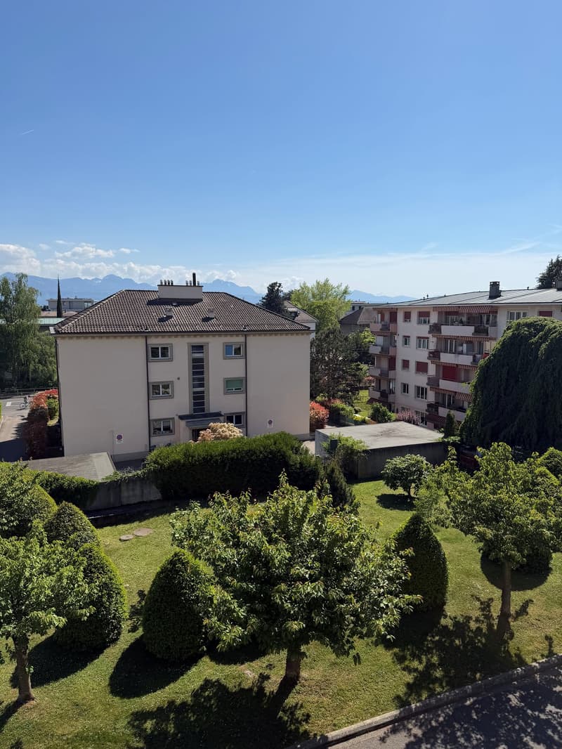 ATTIQUE PULLY SUD (11)