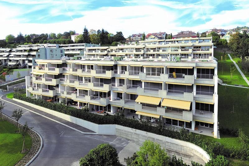 ATTIQUE PULLY SUD (1)