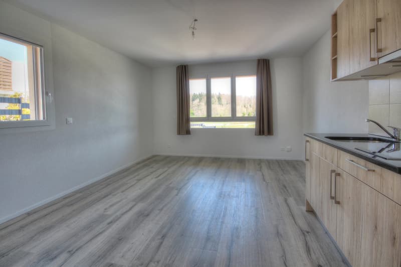 Appartement 1 pièce moderne et lumineux à Lausanne – Chemin de la Vulliette 12 (2)
