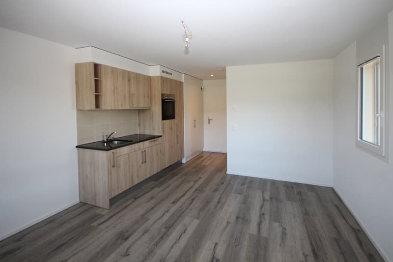 Appartement 1 pièce moderne et lumineux à Lausanne – Chemin de la Vulliette 12 (3)