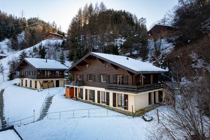 Charmant chalet de 3 chambres avec vue panoramique sur la montagne et excellent accès aux remontées mécaniques (2)