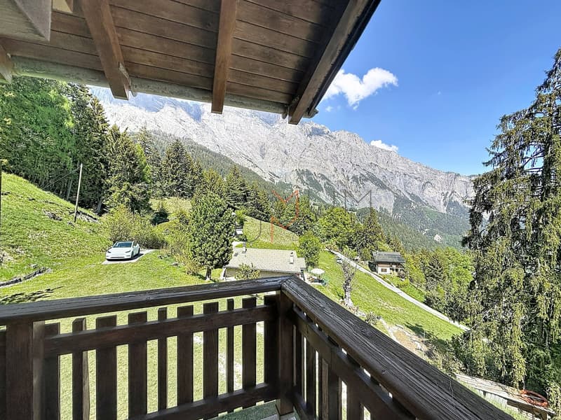 Mayens-de-Chamoson Chalet authentique sur grande parcelle (11)