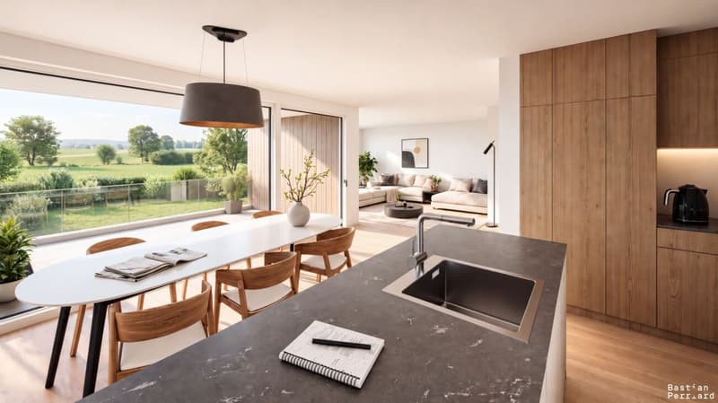 Maisons modernes de 5.5 pièces neuves à Châtel-St-Denis (2)