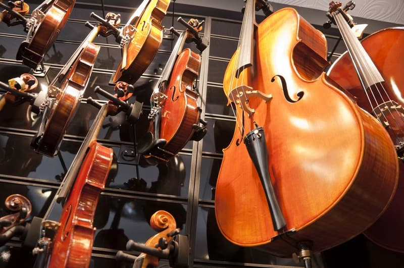 Yverdon : Magasin d'instruments de Musique à vendre (1)