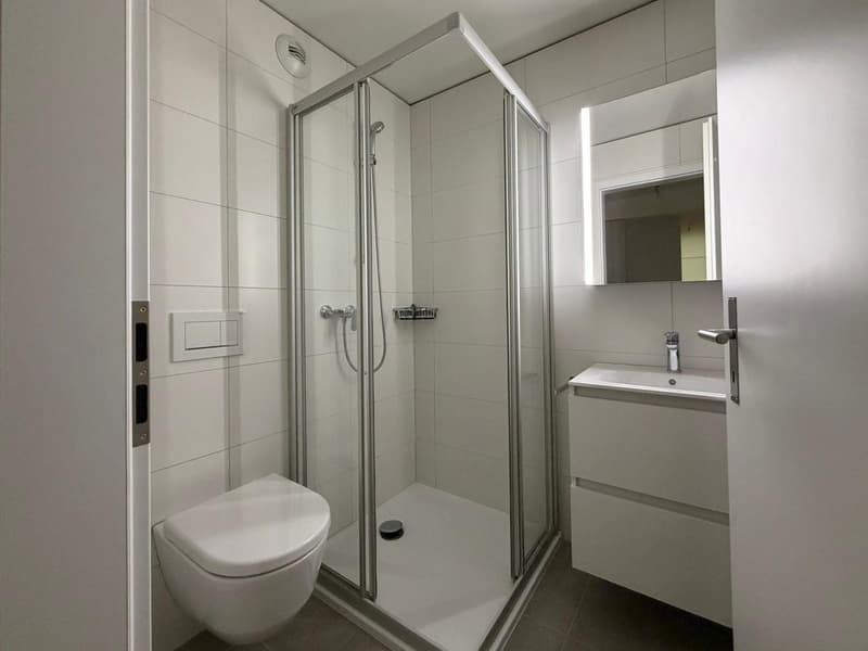 Spacieux appartement de 4.5 pièces au 5ème étage à La Chaux-de-Fonds (12)