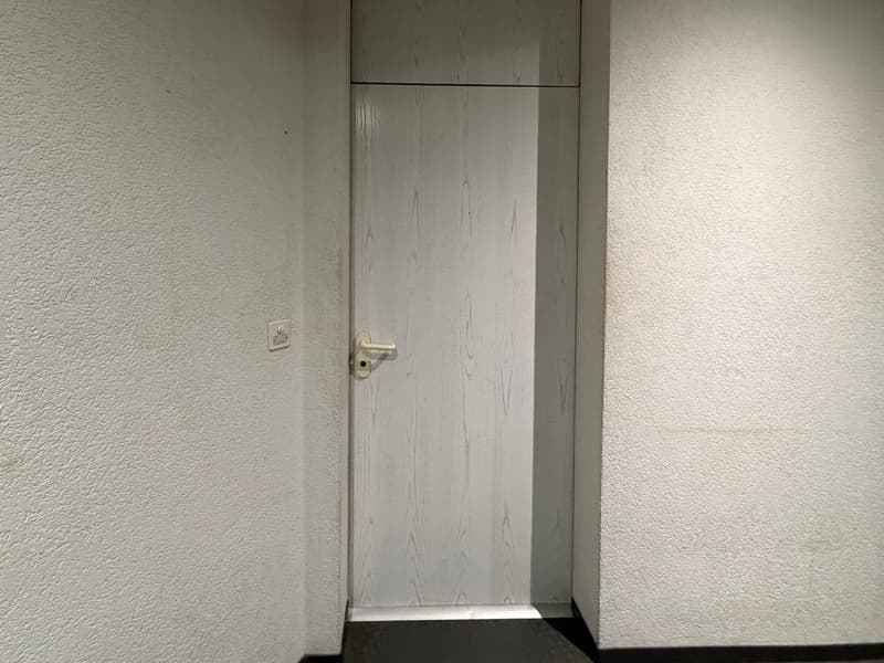 Spacieux appartement de 4.5 pièces au 15ème étage – La Chaux-de-Fonds (9)
