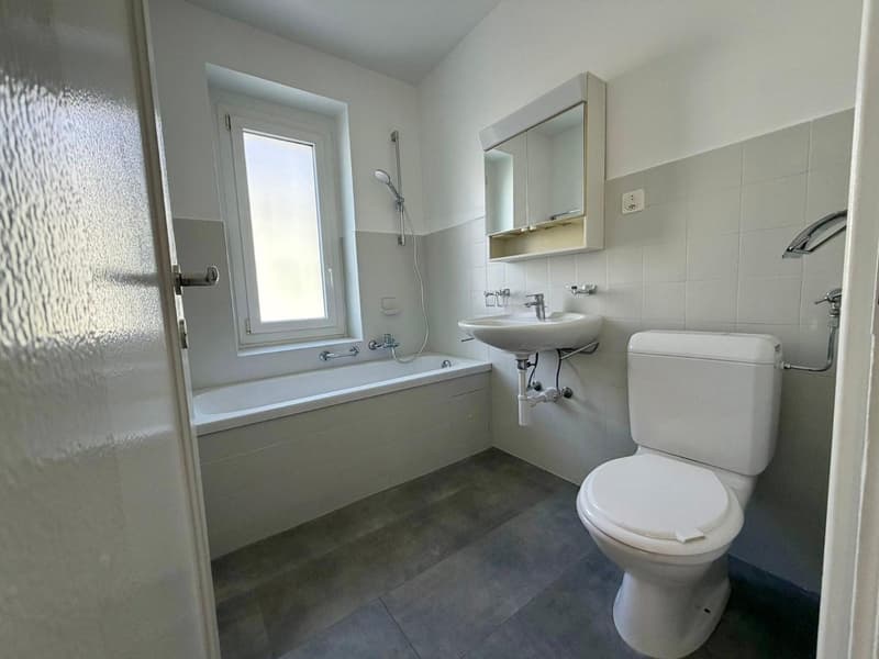 Ravissant appartement de 3 pièces avec un balcon (3)