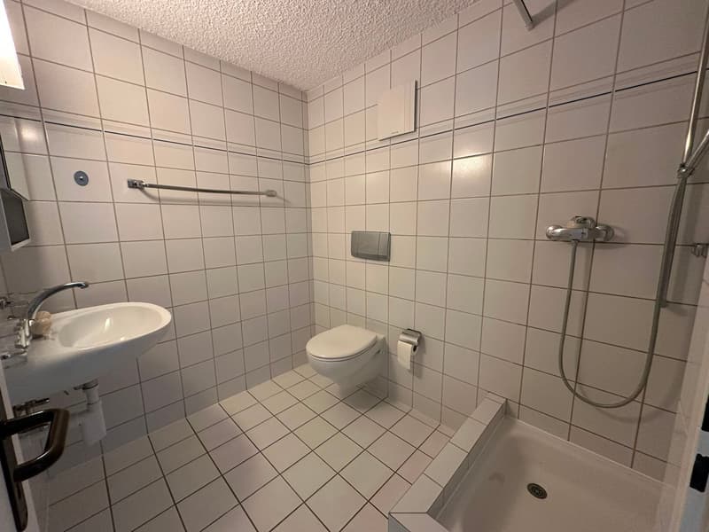Spacieux appartement de 5.5 pièces avec terrasse à Saint-Imier (15)