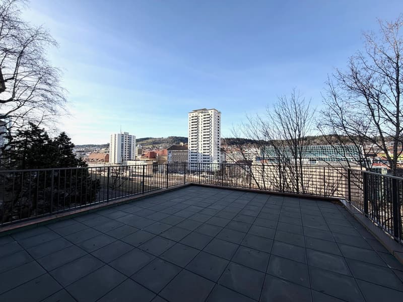 Magnifique appartement de 3 pièces avec une terrasse (2)