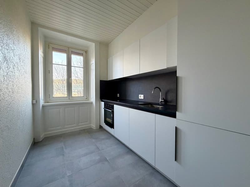 Magnifique appartement de 3 pièces avec une terrasse (5)