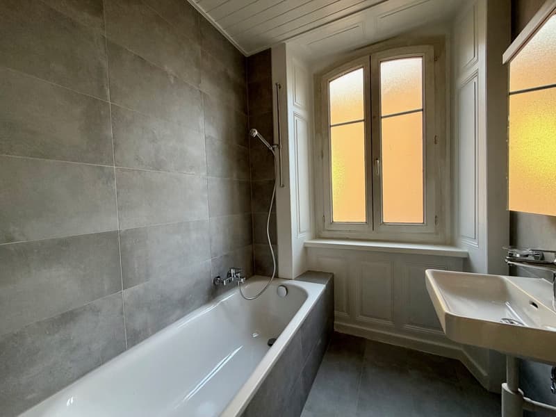 Magnifique appartement de 3 pièces avec une terrasse (6)