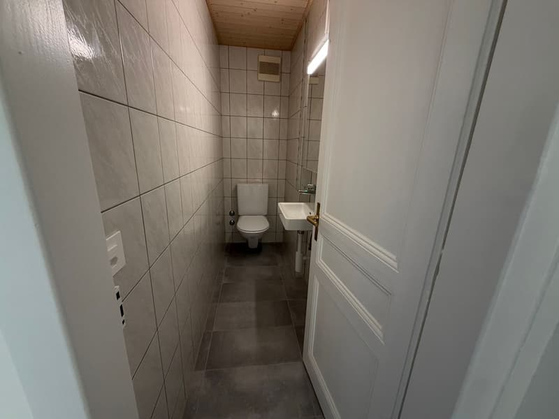 Magnifique appartement de 3 pièces avec une terrasse (11)