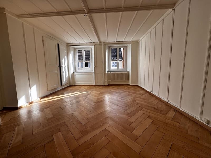Charmant appartement de 3 pièces (2)