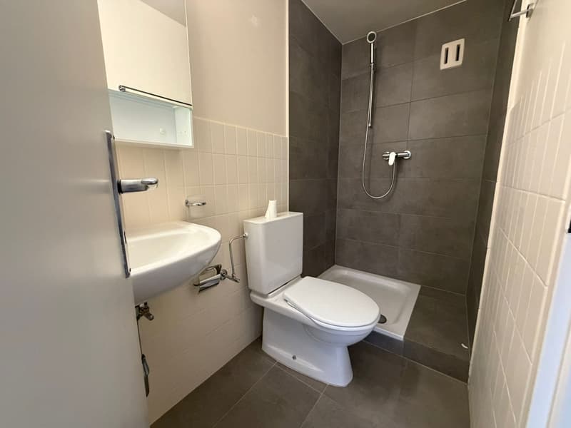 Charmant appartement de 2.5 pièces (5)