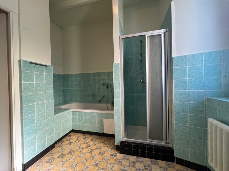 Charmant appartement de 4 pièces au rez-de-chaussée surélevé à La Chaux-de-Fonds (7)