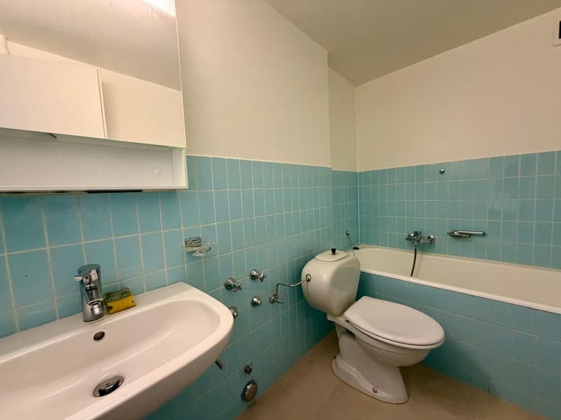 Bel appartement de 5 pièces avec un balcon (10)