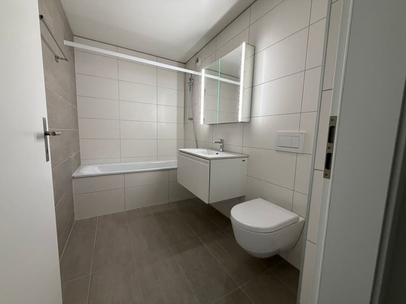 Magnifique appartement de 2.5 pièces (3)