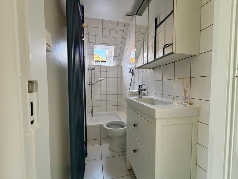 Charmant appartement de 3 pièces (9)