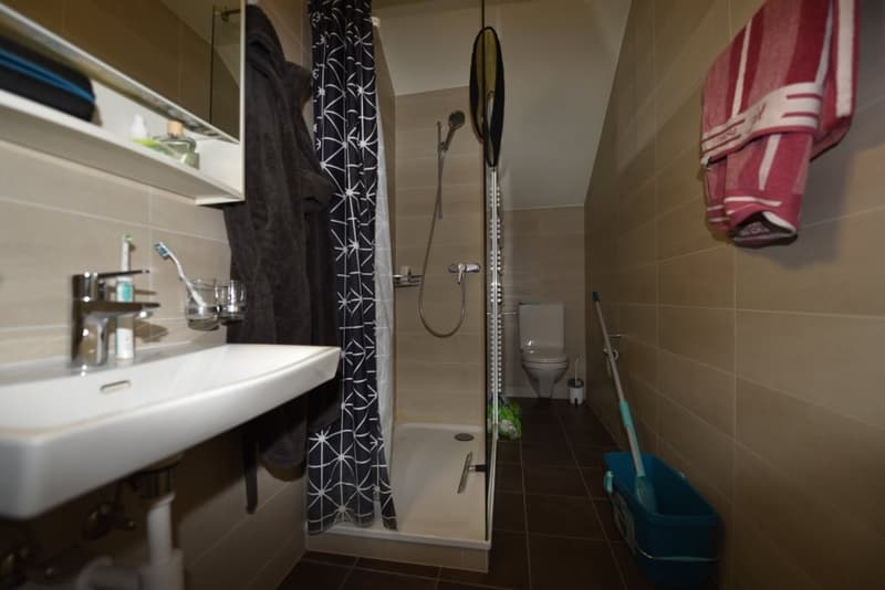 À louer – Appartement 2 pièces à la Rue de la Charrière 19a, 2300 La Chaux-de-Fonds (6)