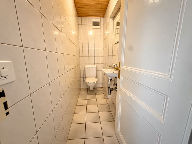 Charmant appartement de 3 pièces (4)