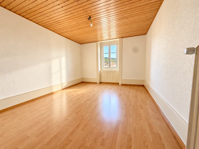 Charmant appartement de 3 pièces (6)