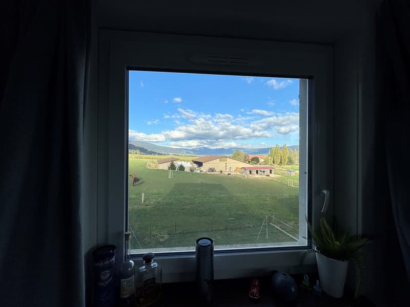 Charmant appartement de 3 pièces avec vue à Les Geneveys-sur-Coffrane (7)