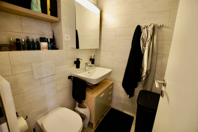 Appartement-SEMSALES-Veveyse-CHatel-St-Denis-LB-Immobilier-