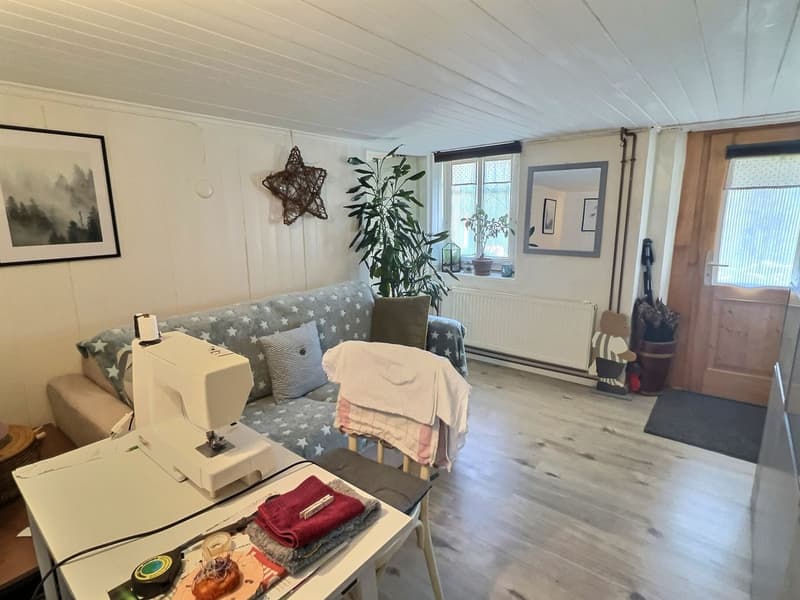 Appartement de 2 pièces à Château-d'Oex (3)