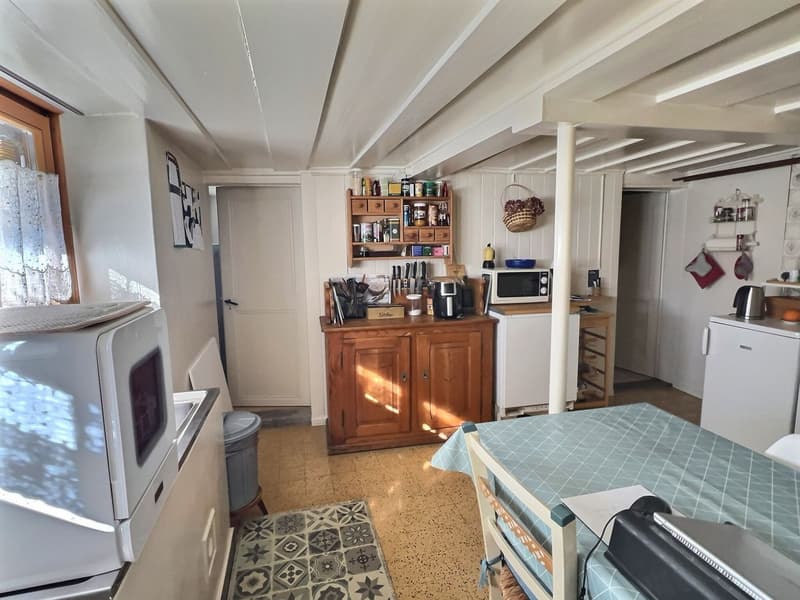 Appartement de 2 pièces à Château-d'Oex (5)