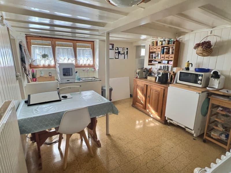 Appartement de 2 pièces à Château-d'Oex (4)