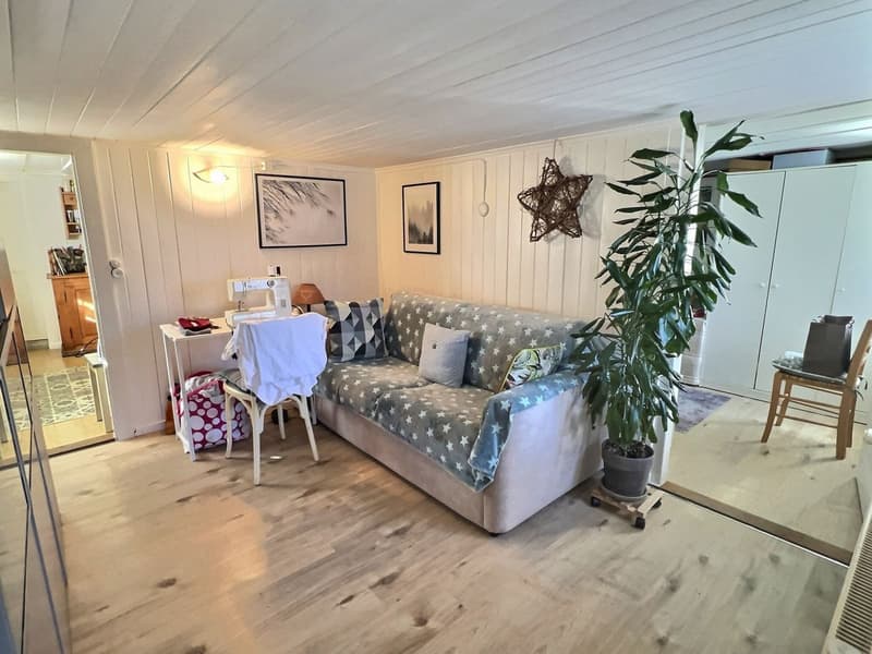 Appartement de 2 pièces à Château-d'Oex (2)