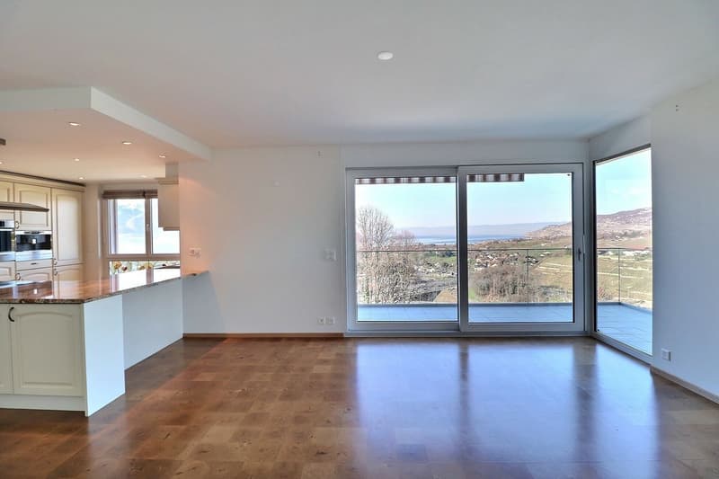 SPACIEUX APPARTEMENT DE 5,5 PIECES AVEC VUE PANORAMIQUE IMPRENABLE (6)