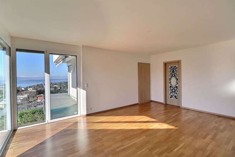 SPACIEUX APPARTEMENT DE 5,5 PIECES AVEC VUE PANORAMIQUE IMPRENABLE (9)