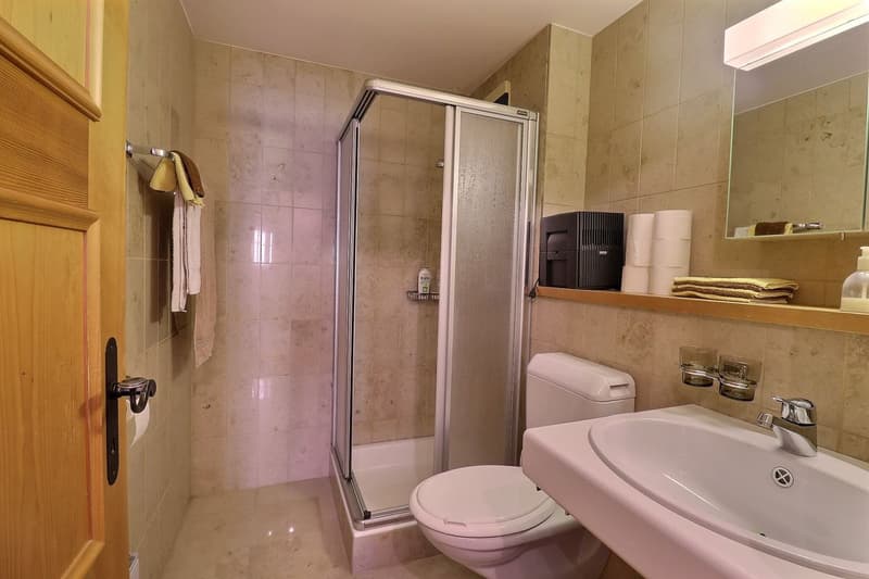 Bel appartement de 4 pièces avec grand balcon (11)