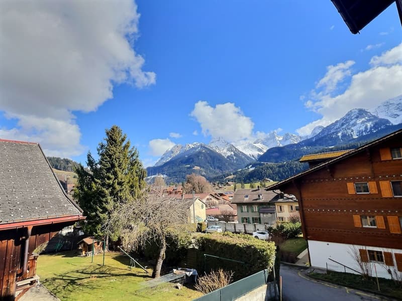 Bel appartement de 4 pièces avec grand balcon (12)