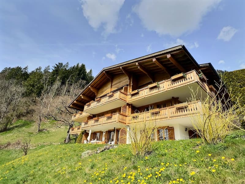 Magnifique duplex de 5 pièces à vendre à Château-d'Oex (3)