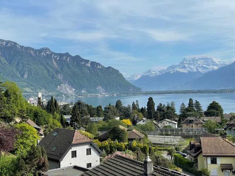 CHARMANT APPARTEMENT DE 3,5 PIECES LOUE AVEC UNE VUE PANORAMIQUE IMPRENABLE SUR LE LAC ET LES ALPES (1)