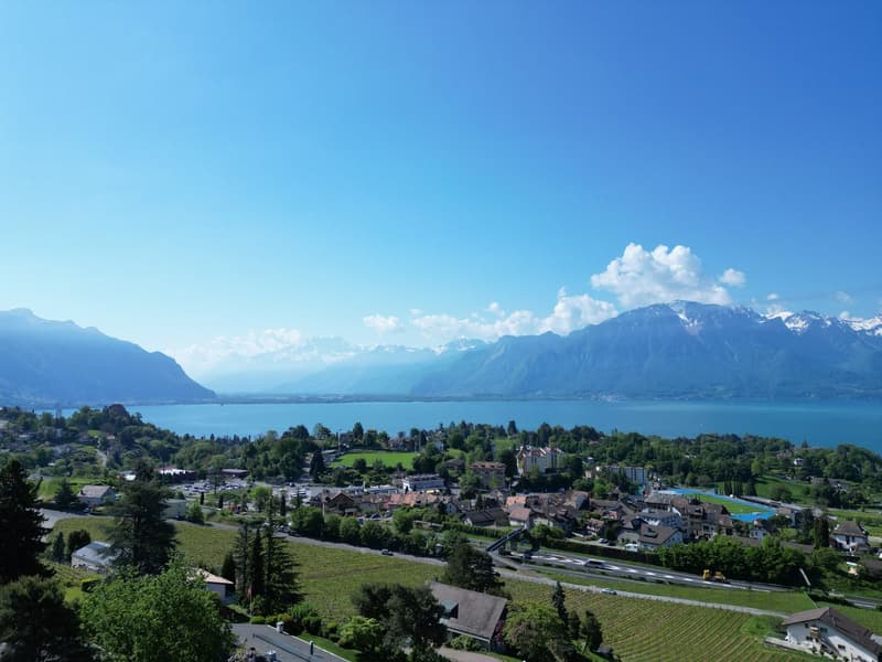 BELLE PROPRIETE DE 12 PIECES AVEC UNE PISCINE ET UNE VUE PANORAMIQUE GRANDIOSE (2)