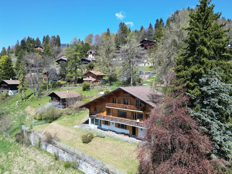 GRAND CHALET DE 9 PIECES AVEC UNE PISCINE DANS UN QUARTIER TRES CALME AVEC VUE PANORAMIQUE GRANDIOSE (6)