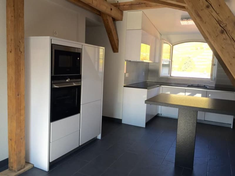 DUPLEX AVEC CACHET AU CENTRE D'AIGLE (4)