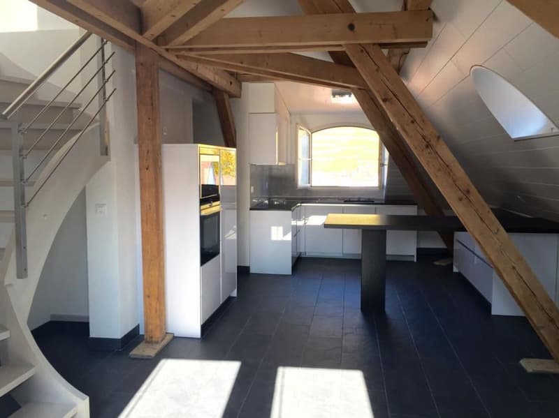 DUPLEX AVEC CACHET AU CENTRE D'AIGLE (2)