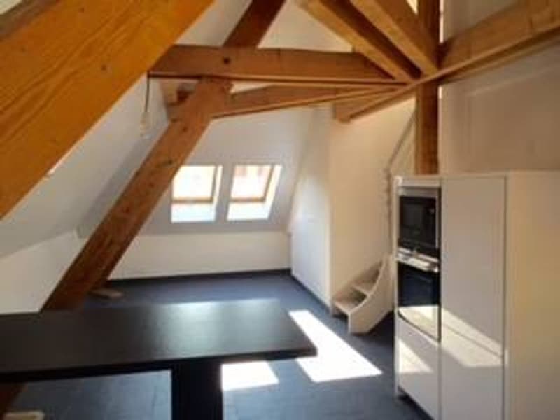 DUPLEX AVEC CACHET AU CENTRE D'AIGLE (3)