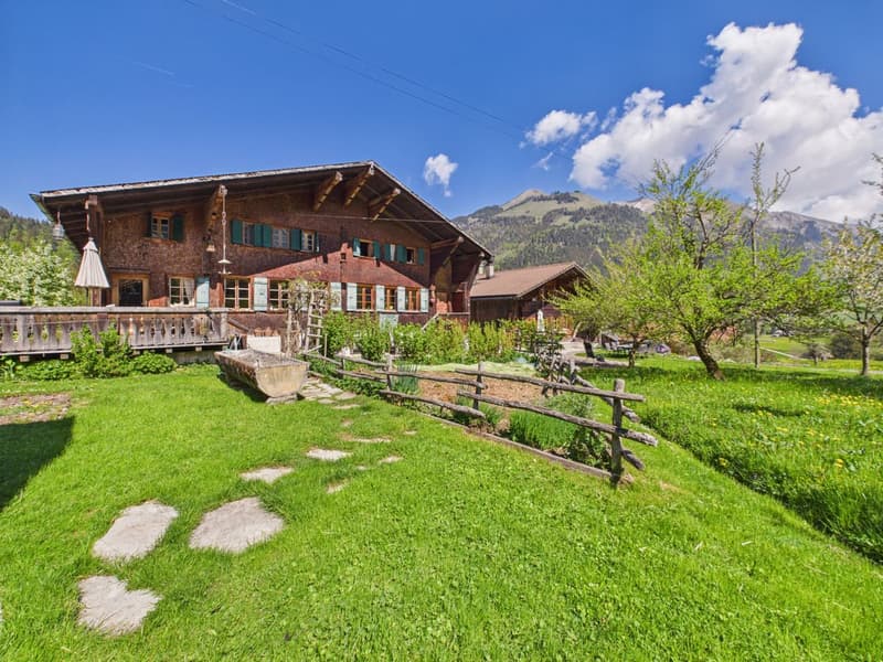 Rare opportunité d'un ancien chalet à vendre à Château-d'Oex (1)