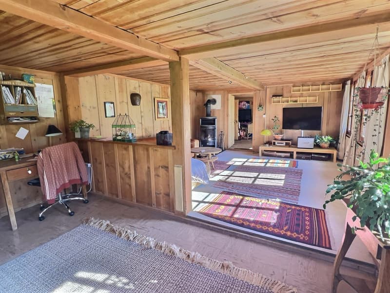 Rare opportunité d'un ancien chalet à vendre à Château-d'Oex (5)