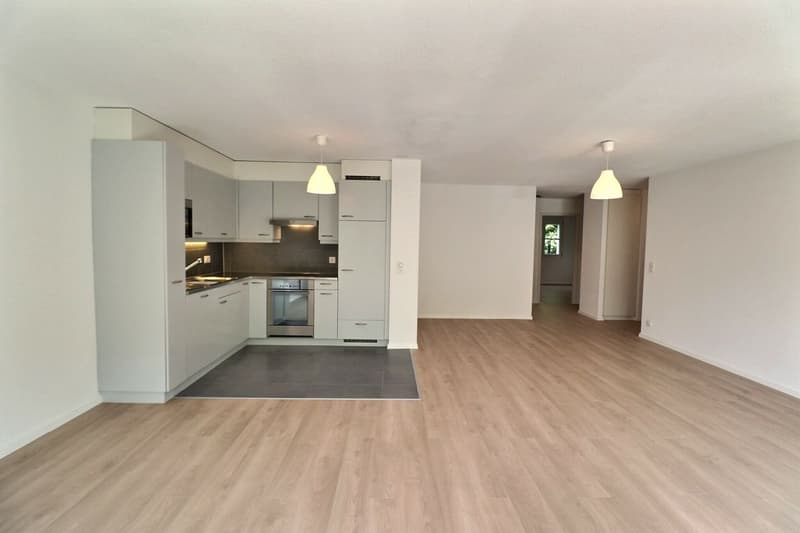 JOLI APPARTEMENT DE 4,5 PIECES RENOVE AVEC UNE TERRASSE ET UN JARDIN (8)