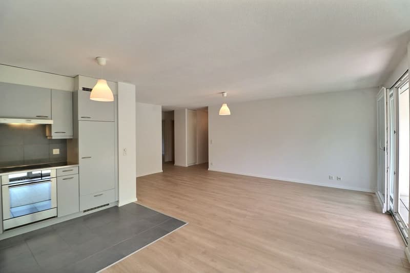 JOLI APPARTEMENT DE 4,5 PIECES RENOVE AVEC UNE TERRASSE ET UN JARDIN (4)