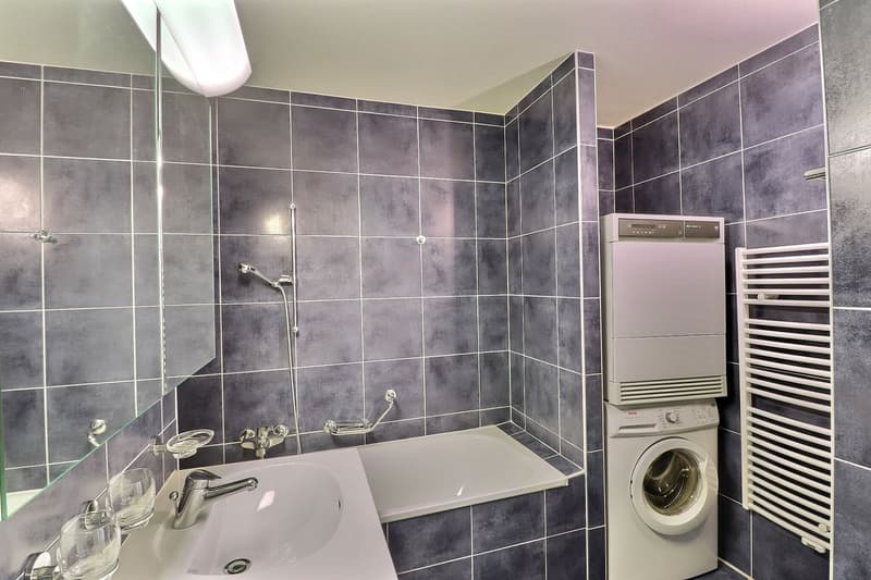 JOLI APPARTEMENT DE 4,5 PIECES RENOVE AVEC UNE TERRASSE ET UN JARDIN (11)