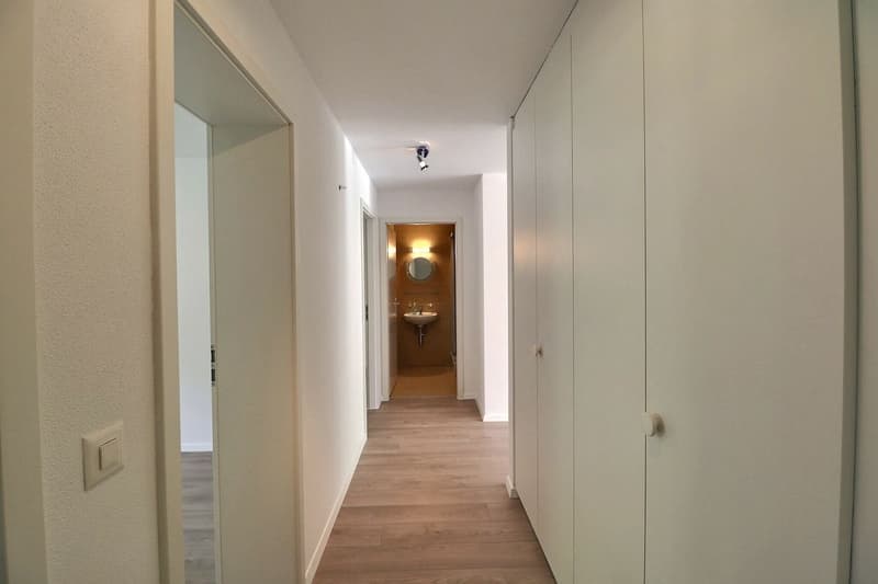 JOLI APPARTEMENT DE 4,5 PIECES RENOVE AVEC UNE TERRASSE ET UN JARDIN (10)